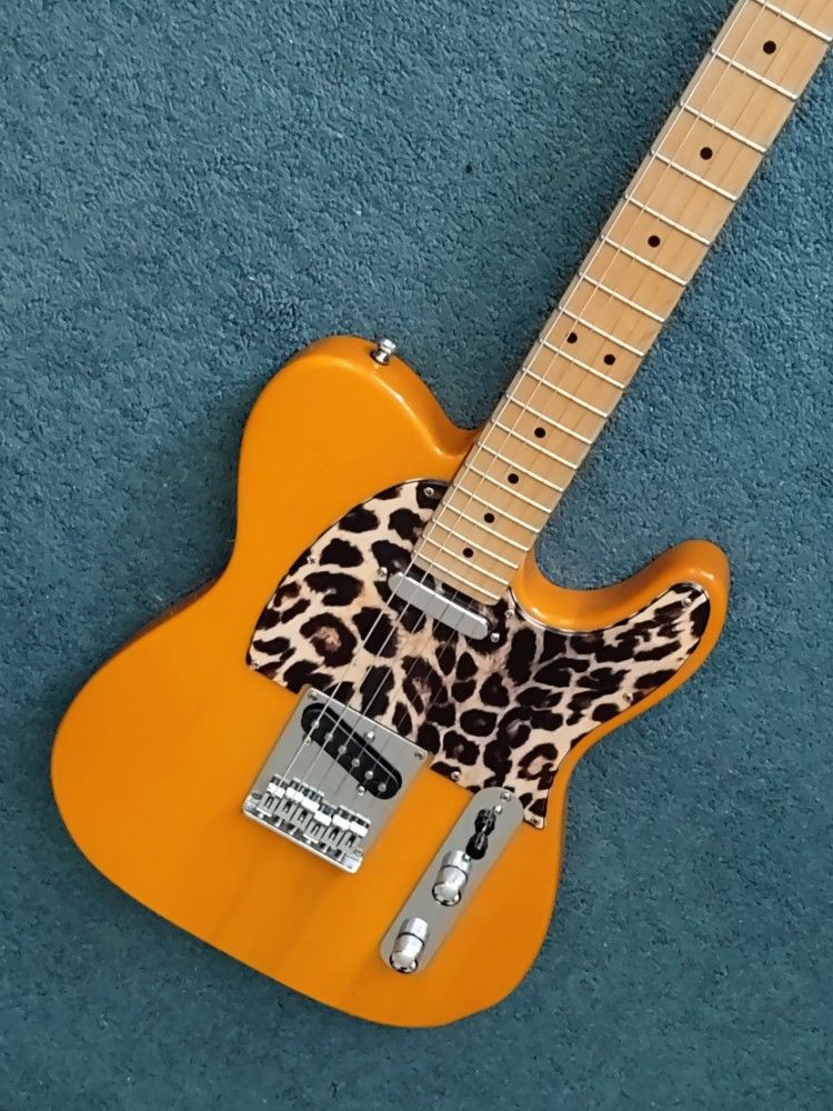 Squier Telecaster w/ Soft Case 