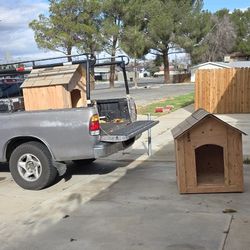 Dogs 🐕 Houses 🏘 