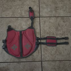 Small dog life preserver