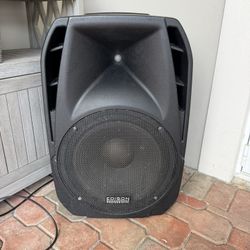Edison profesional Speaker 
