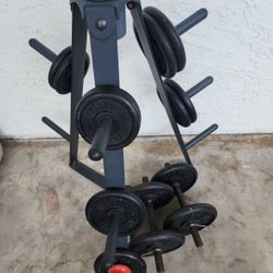 Weider Weights Adjustable Dumbbells 