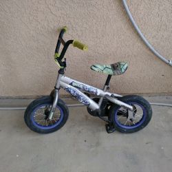 TMNT bike