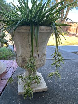 Flower Plant Pot