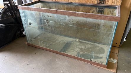Fish tank