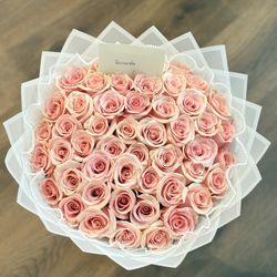 50 Pink Roses
