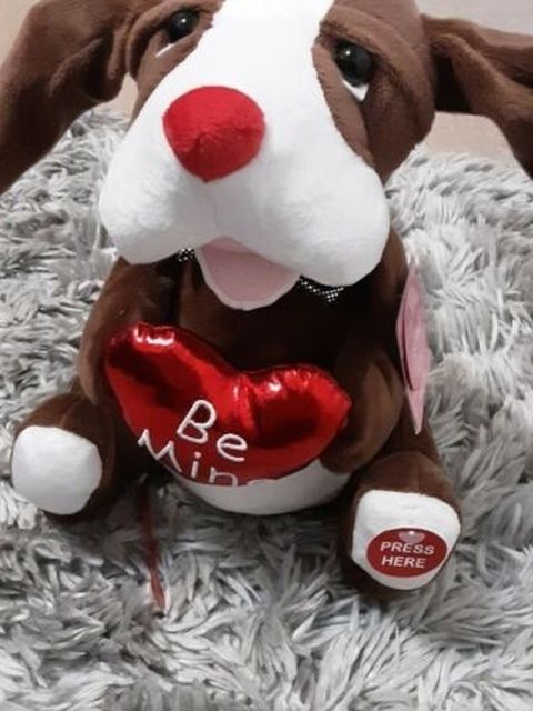 Valentine's Day Gift Singing Dog "Shout" Animated Flapping Ear Puppy Bloodhound