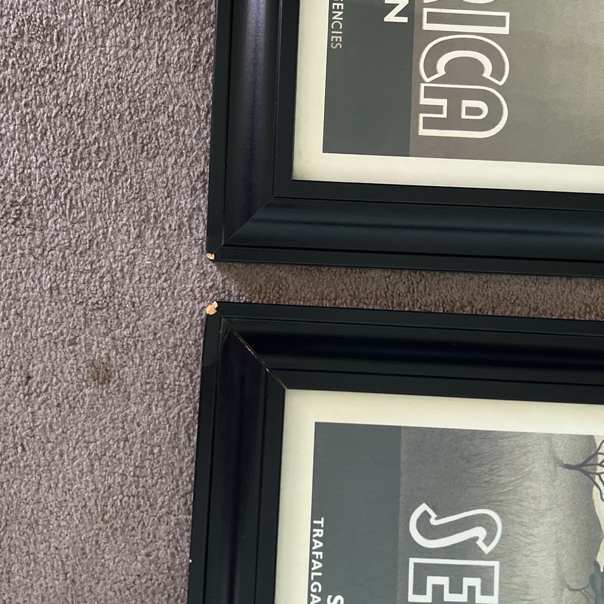 Mystic Safari Frames (Collectables) Collectibles & Art