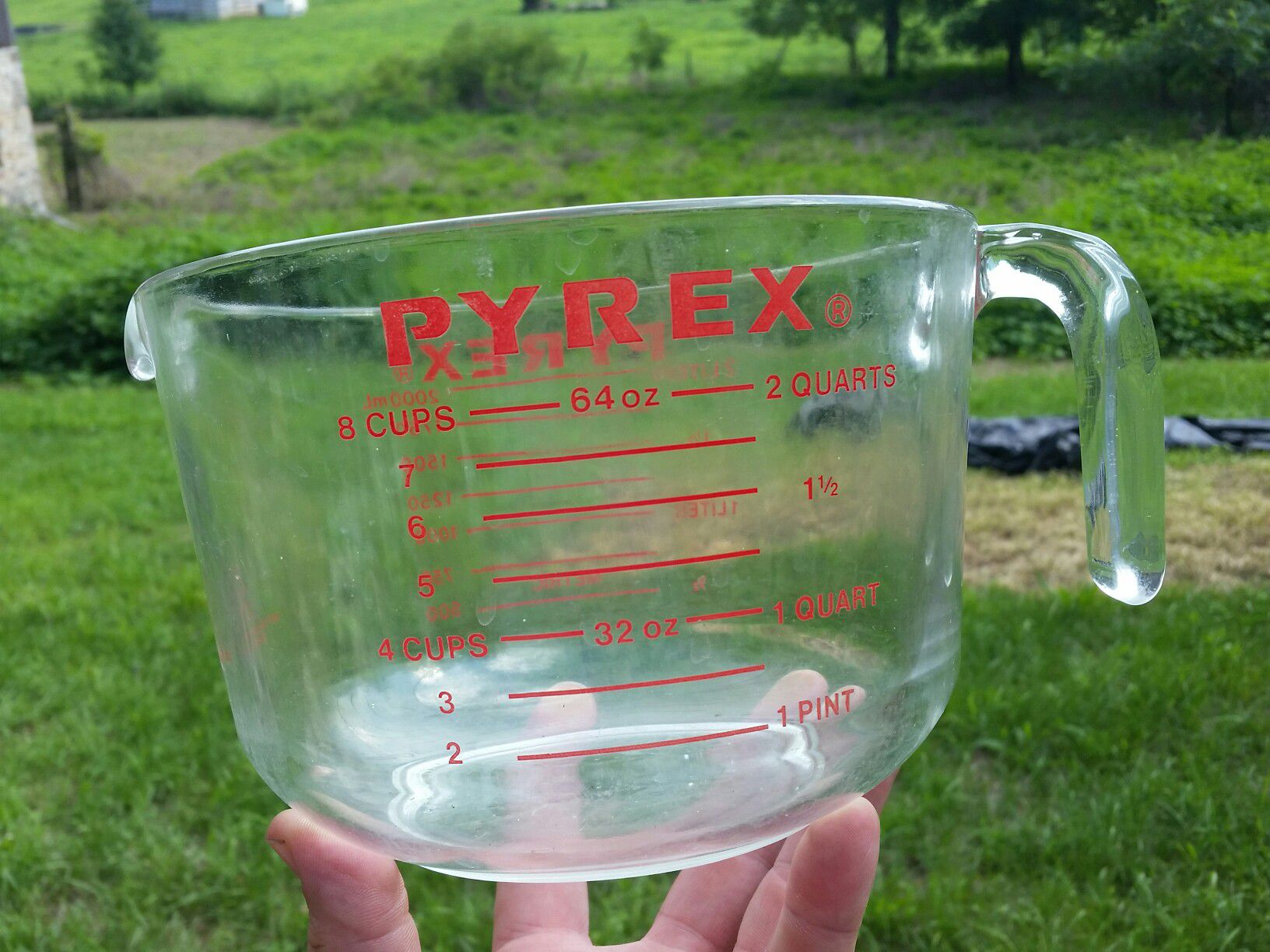 Giant Pyrex 564 measuring cup 8 cup 64 oz 2 quarts