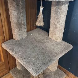 Cat Tree 