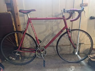 1990 Schwinn Paramount 564