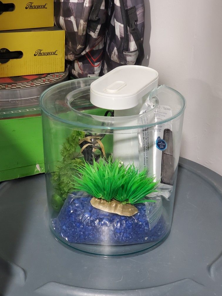 fish tank 