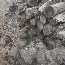 Firewood