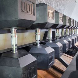 Dumbbells By Troy Barbell VTX 55lbs To 100lbs Total Of 1550lbs