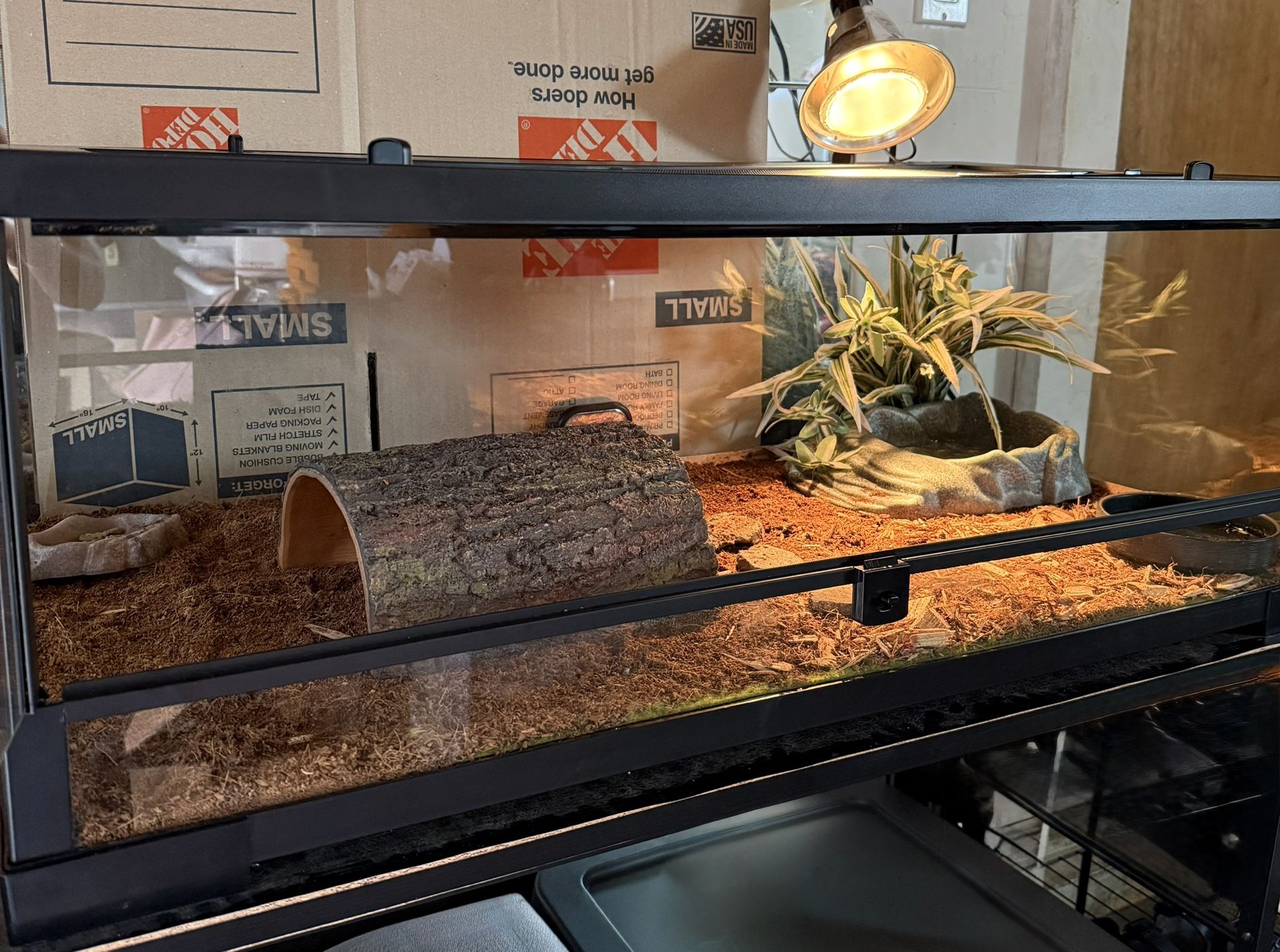 Tortoise Tank Enclosure