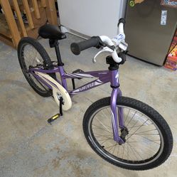 20 Inch Specialized Kids Bike