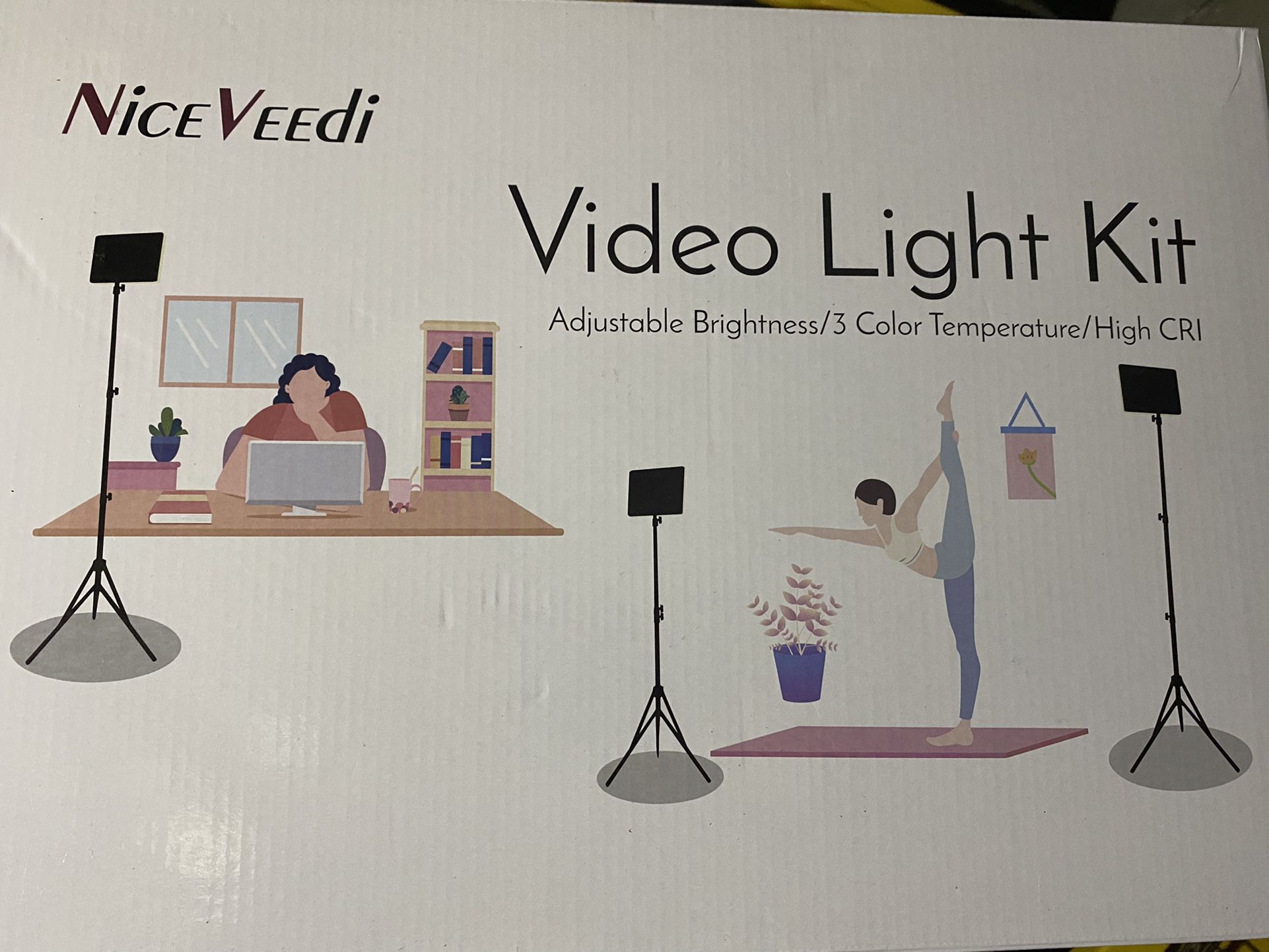 Video Light Kit