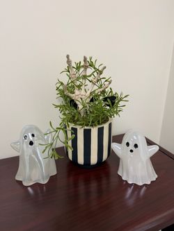 Halloween decorations