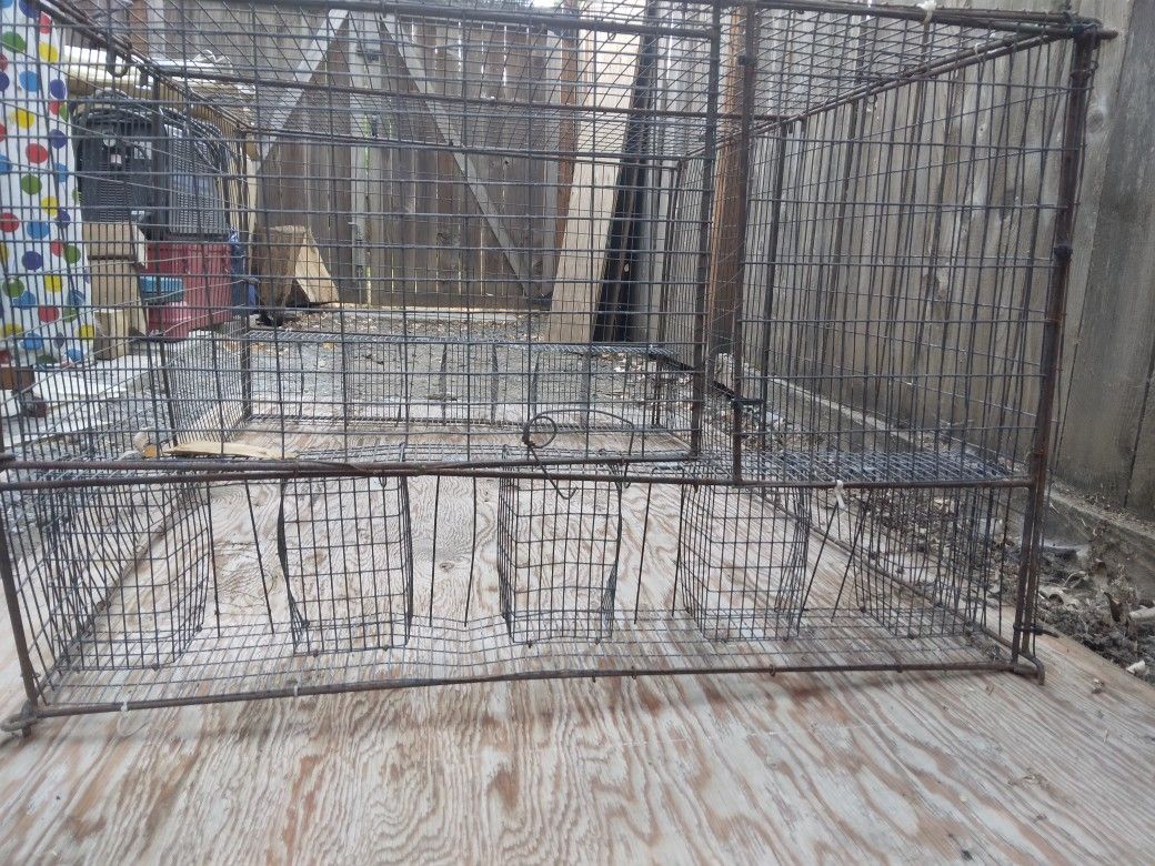 Live Bird Trap