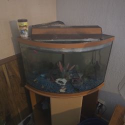 Fish Tank