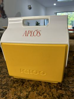 New Mini Igloo Cooler