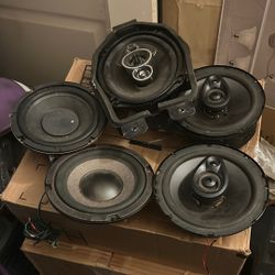 Speaker 