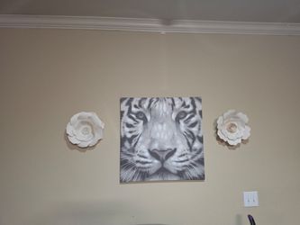 Tiger Photo Set