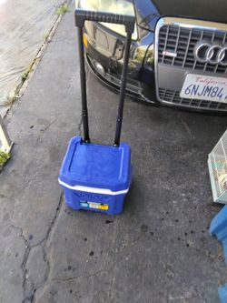 Igloo mini