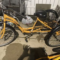 Bike 