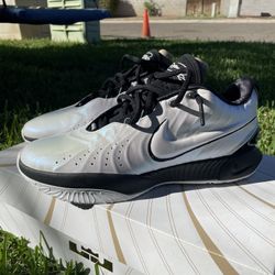 Lebron Basketball shoes