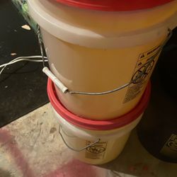 Degreaser 5 Gallon’s 