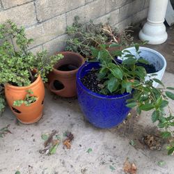 Pots 