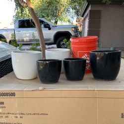 Black & Whiter Ceramic Glazed Pots