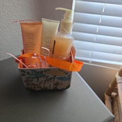 Thanksgiving Hostess Gift Mary Kay Satin Hands Peach Set