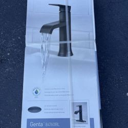 MOEM Vanity Faucet 