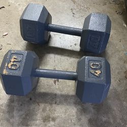 Exercise Equipment 40 Pounds Each