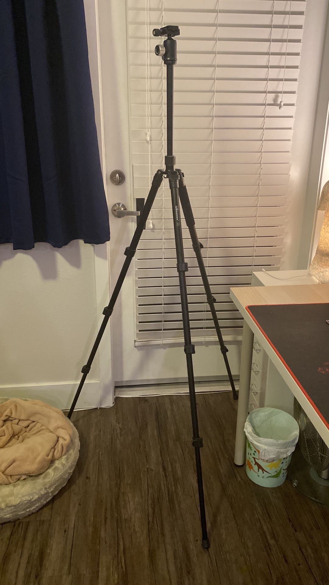 Tripod camera