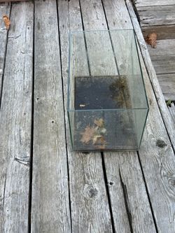 5 gallon fish tank