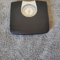 Scale $12.00