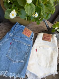 Levy shorts size 25 ( s )