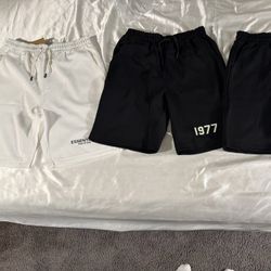 Essential Shorts 