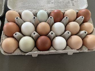 Colorful Farm Fresh Eggs