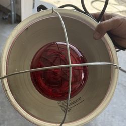 Brooder Heat Lamp 120V 60Hz