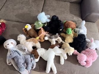 webkinz and douglas