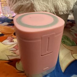 2 In One Small Charger