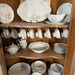 Mitterteich Mystic Rose (Platinum Trim) China Set Made In Bavaria, Germany