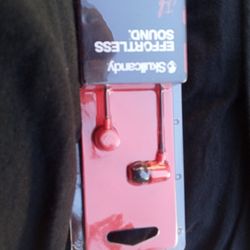 Skull Candy Earphones
