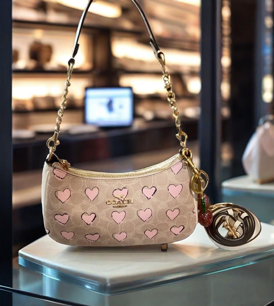 Coach Heart Teri Bag 