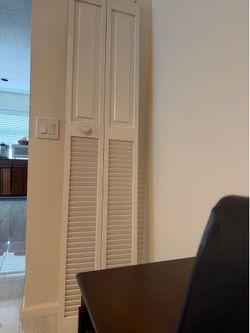24x80 inch  closet door