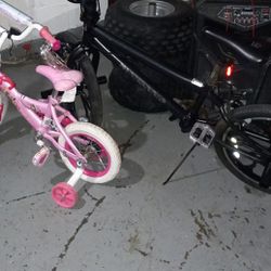 2 Bikes Mongoose Trick Bike And Little Ms Princes Bike