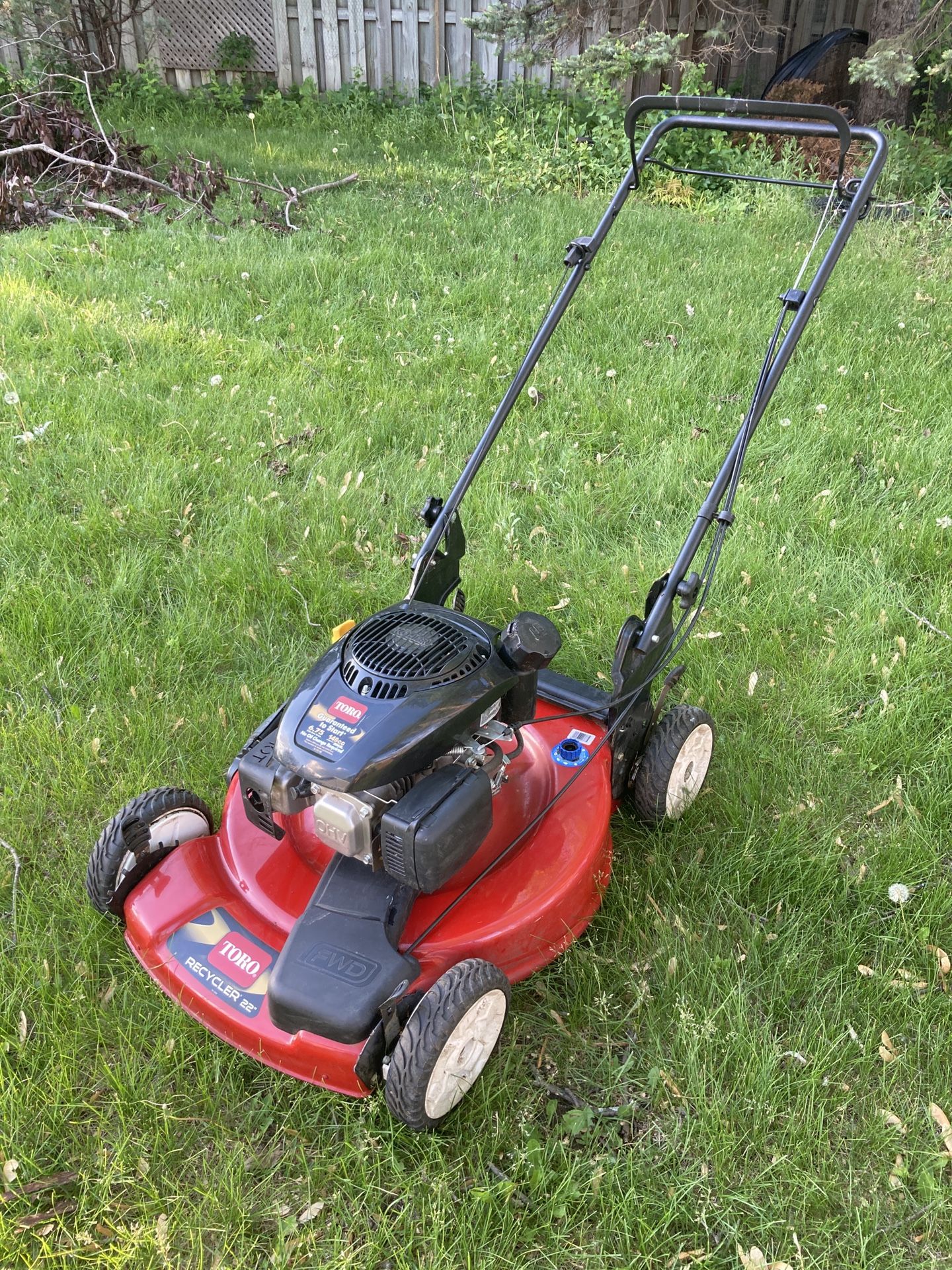 Toro Recycler 22” Lawn Mower